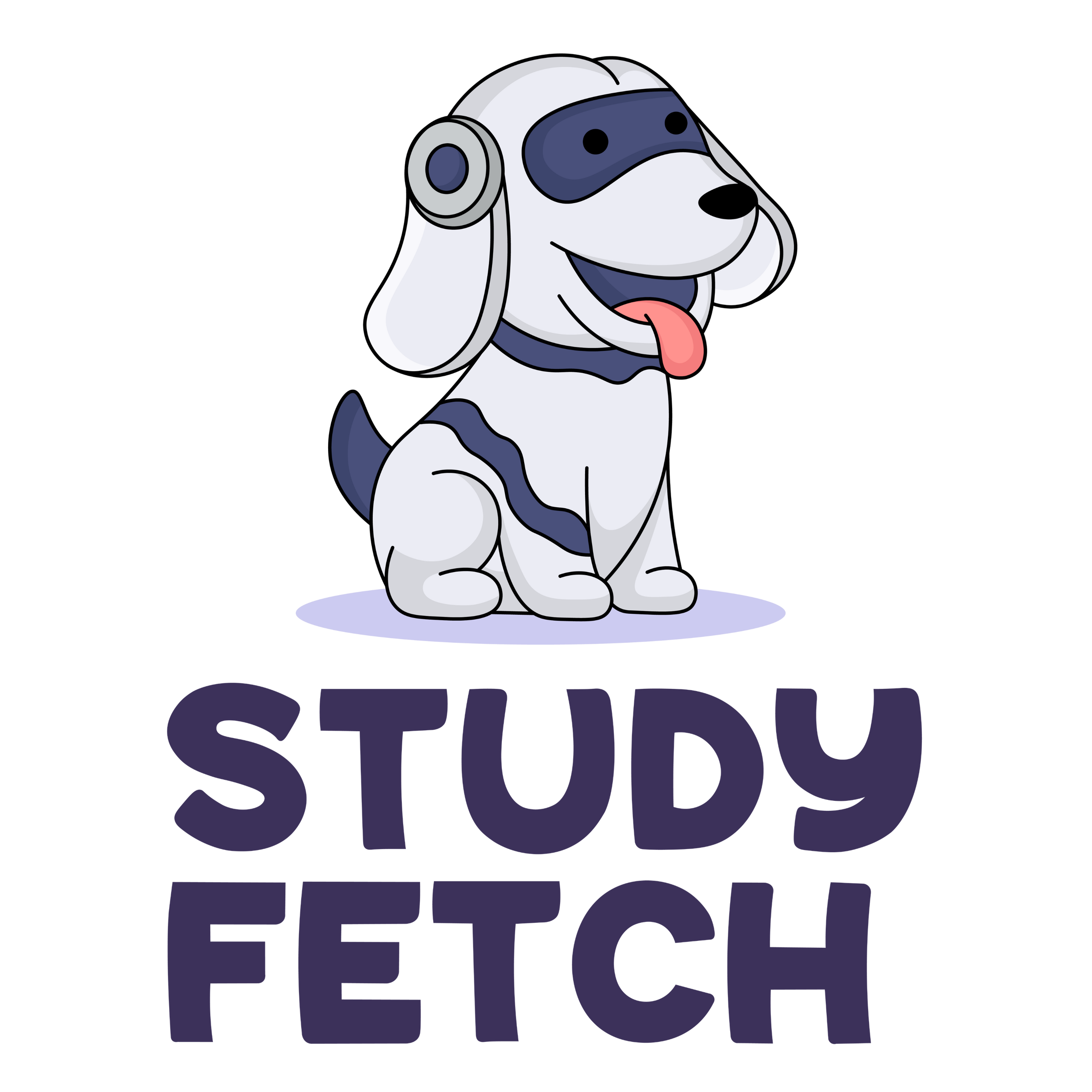 Study Fetch